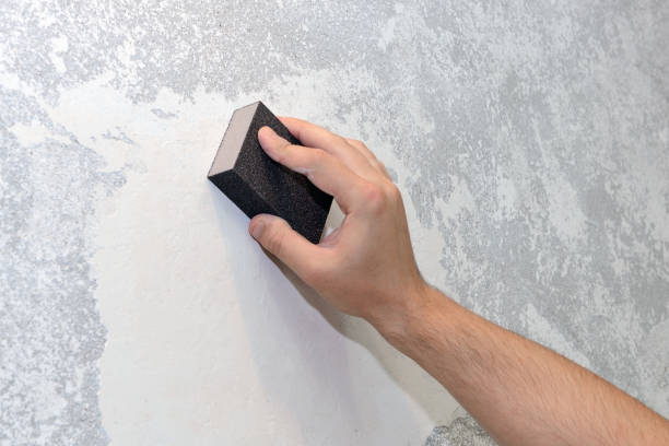 Mold Documentation for Insurance Claims in Seven Corners, VA