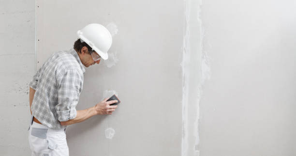 Mold Odor Removal Services in Seven Corners, VA